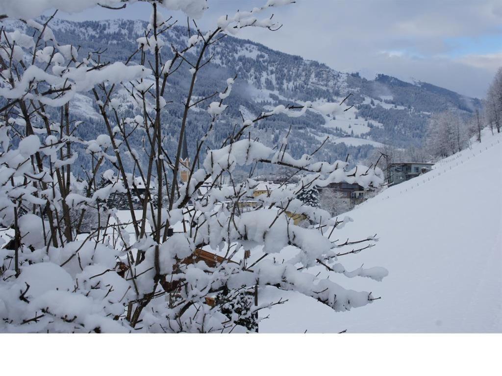 Feldinggut Villa Bad Hofgastein Exteriör bild